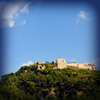 latakia