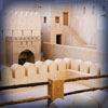 muscat