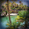 muscat